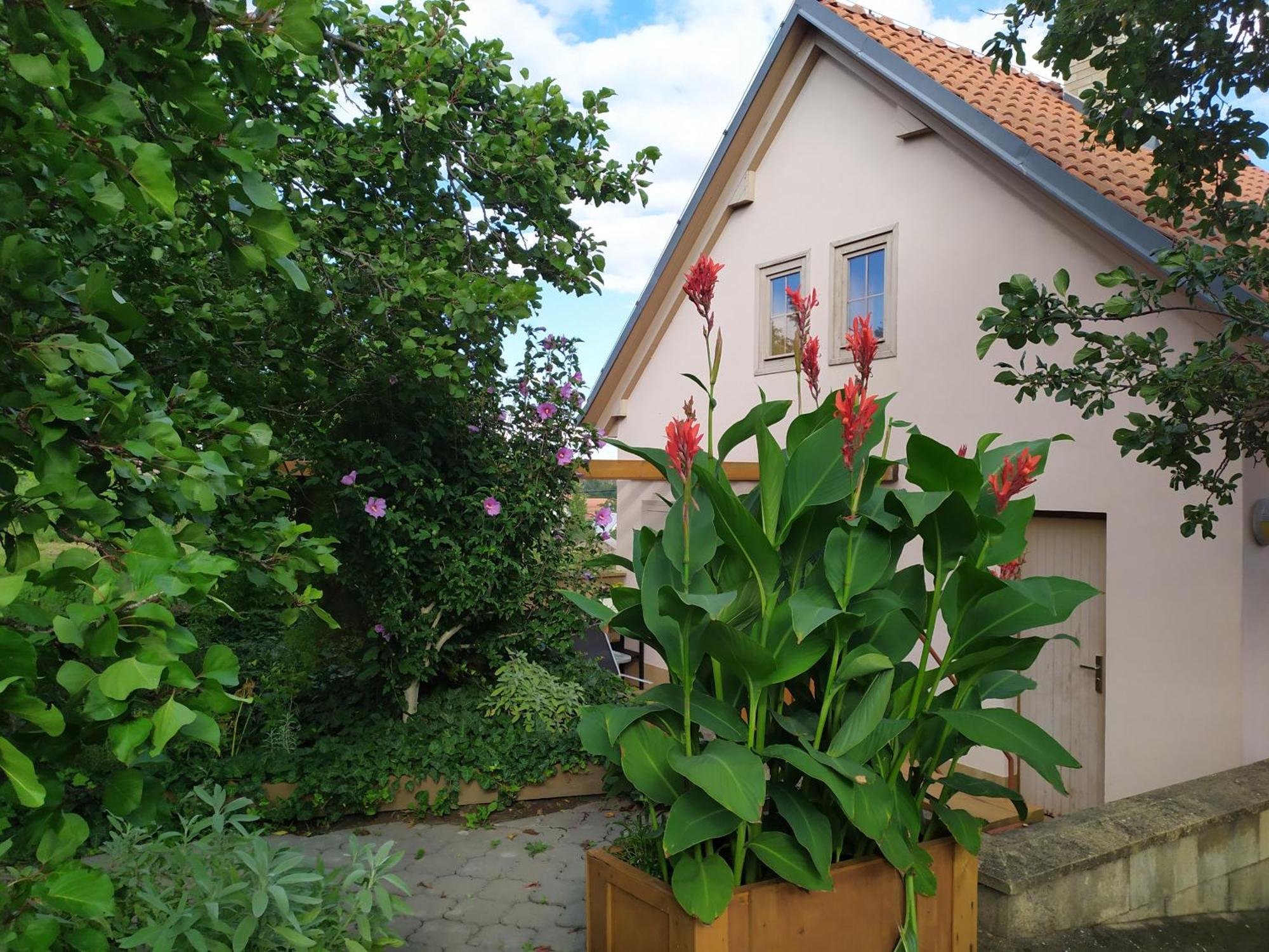 Ubytovani U Krizu Bulhary Luaran gambar